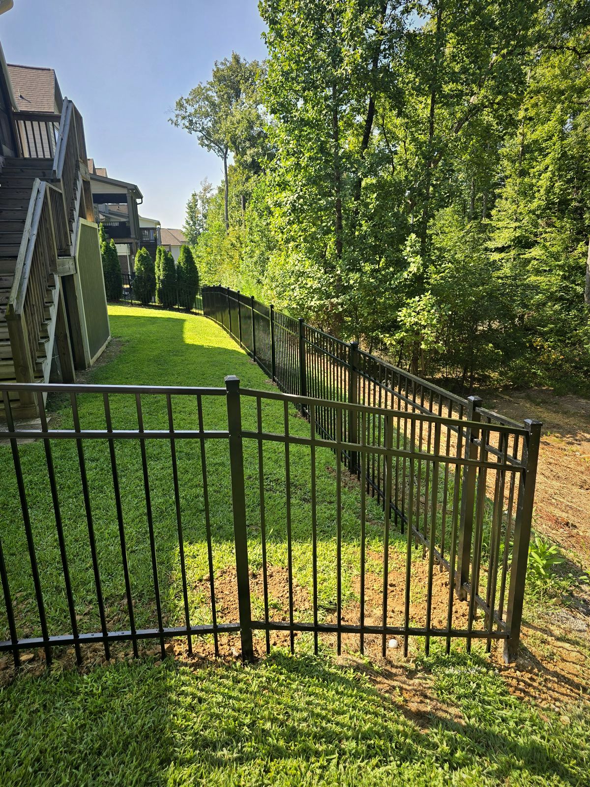 Black aluminum fence along a wooded backyard