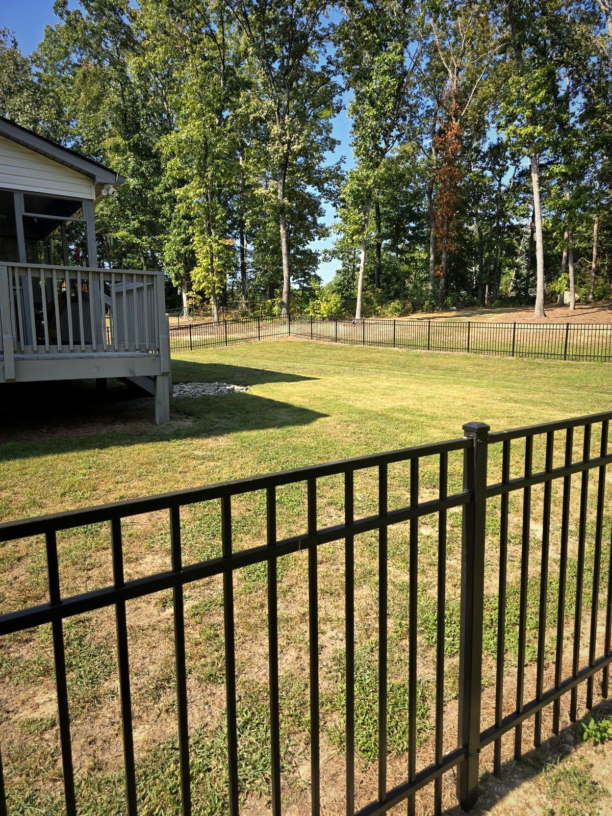 Black aluminum fence across a backyard