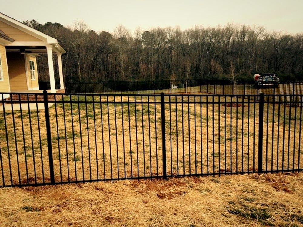 Black aluminum fence across a backyard bordering an open field