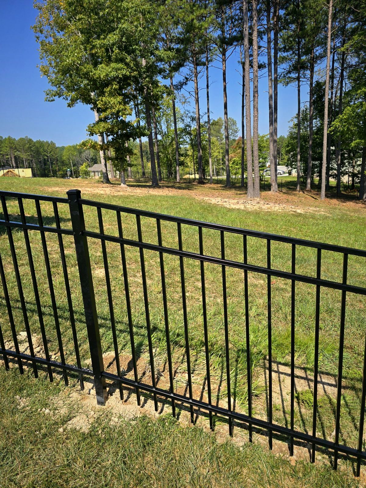 Black aluminum fence across a yard with pines