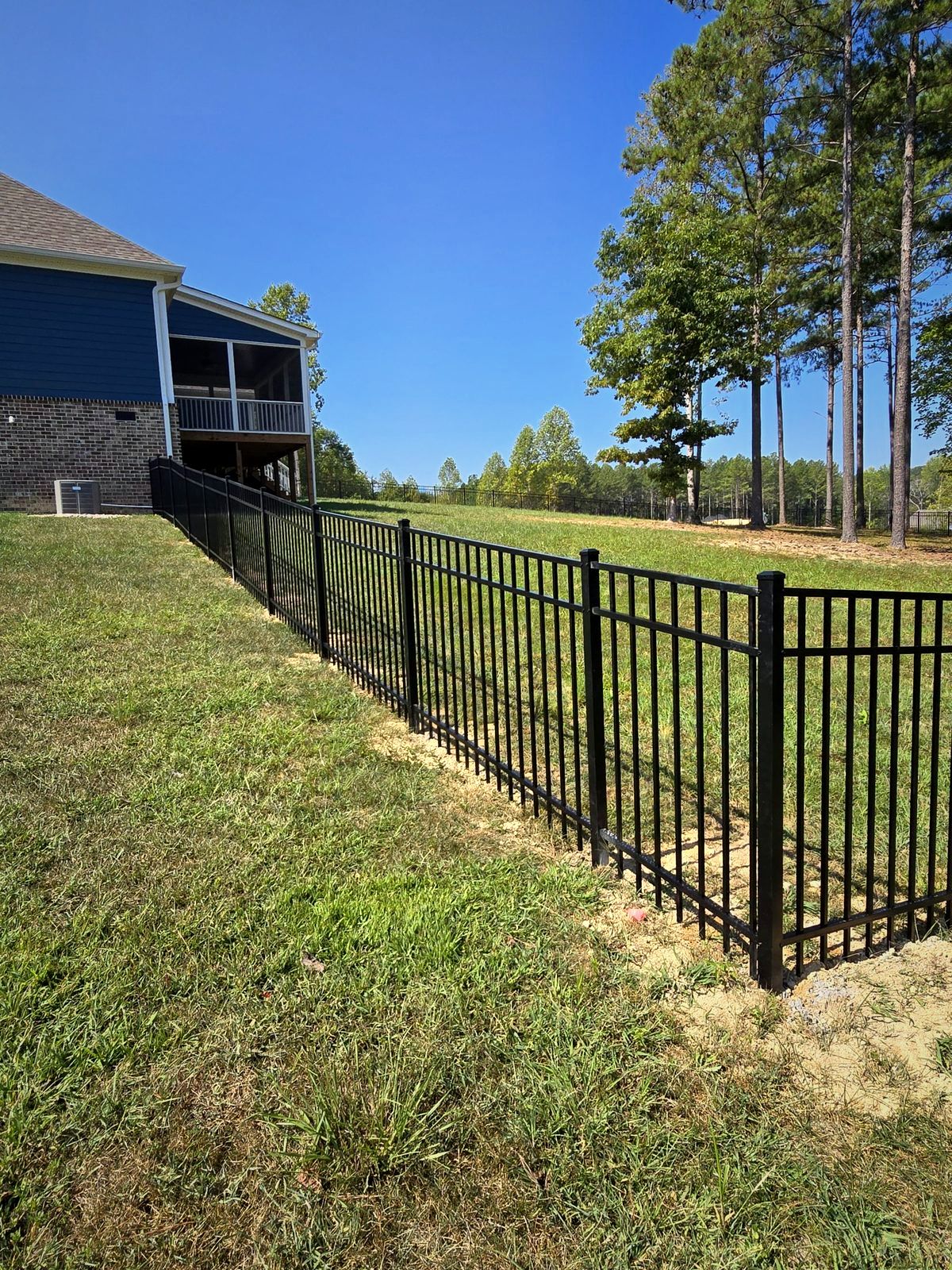 Black aluminum fence running from a home across a pine-lined lawn