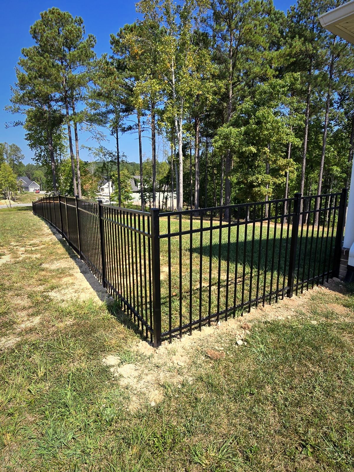 Black aluminum fence enclosing a backyard lawn