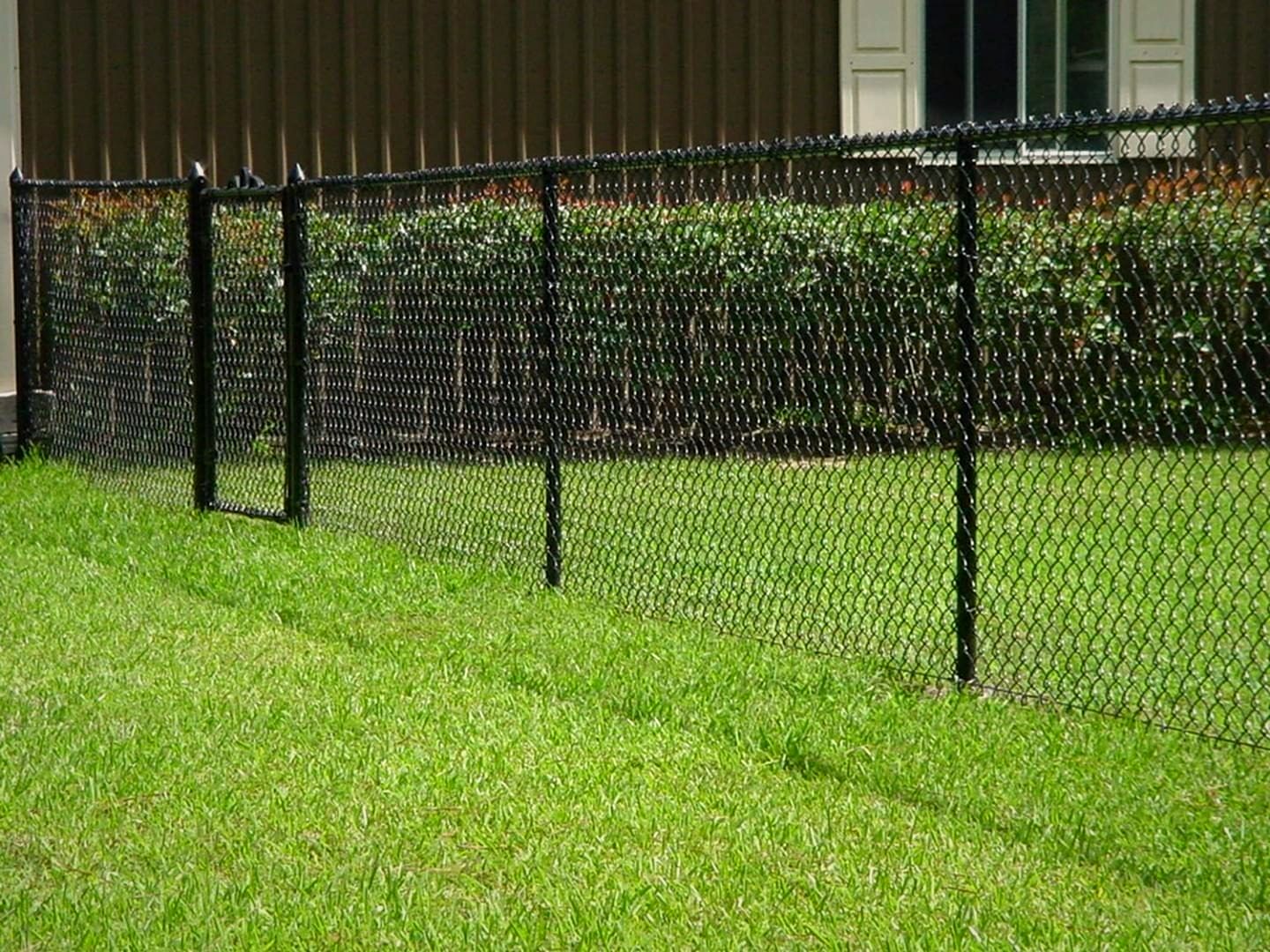 Black vinyl-coated chain link fence in a wooded backyard