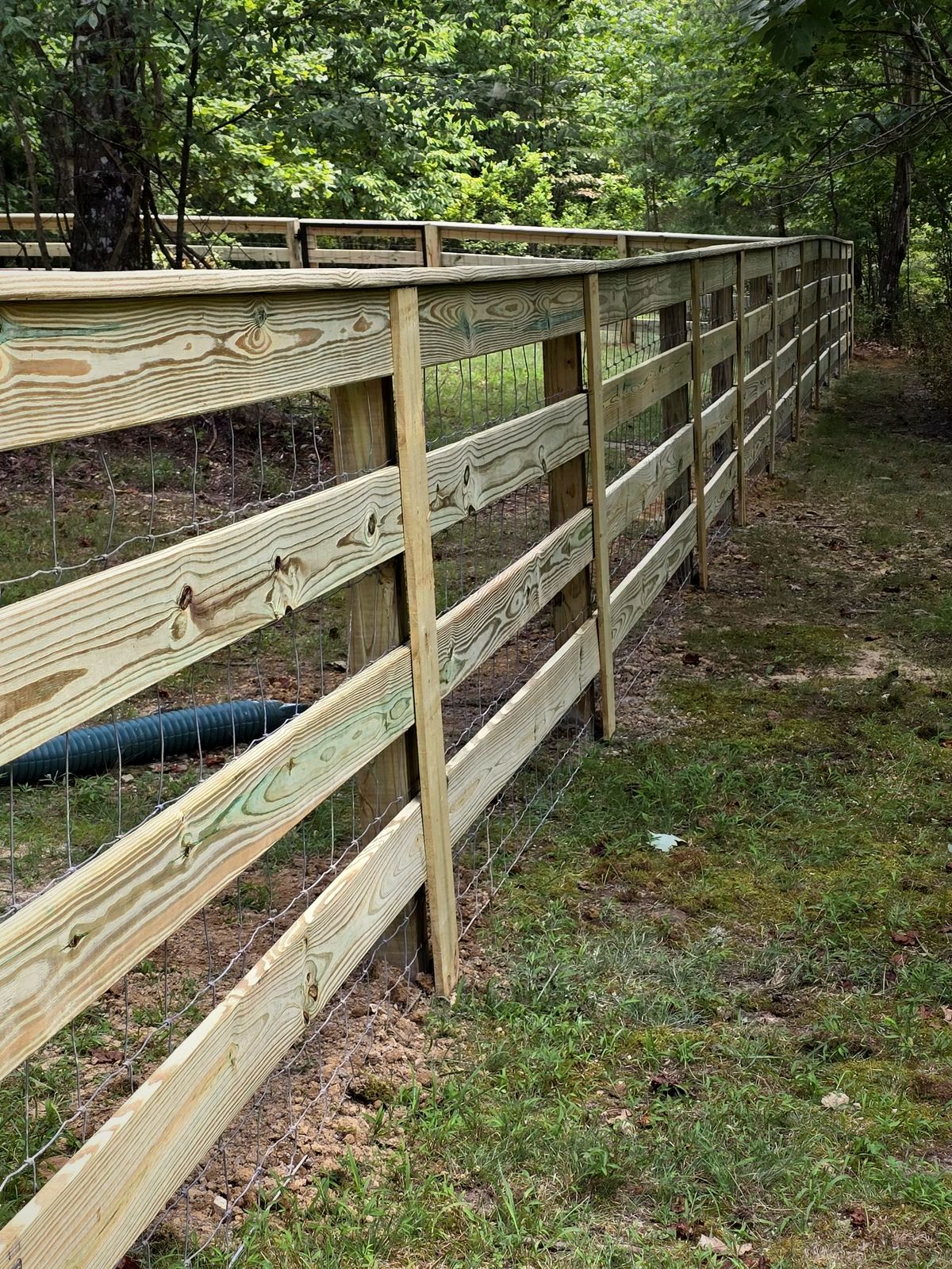 Four-board wood fence with wire mesh running through the woods