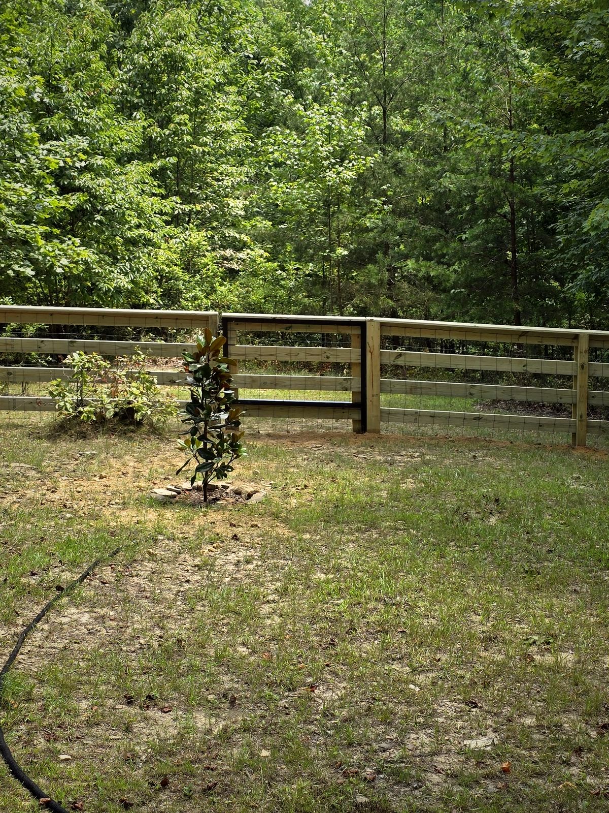 Three-rail wood fence along a wooded lot