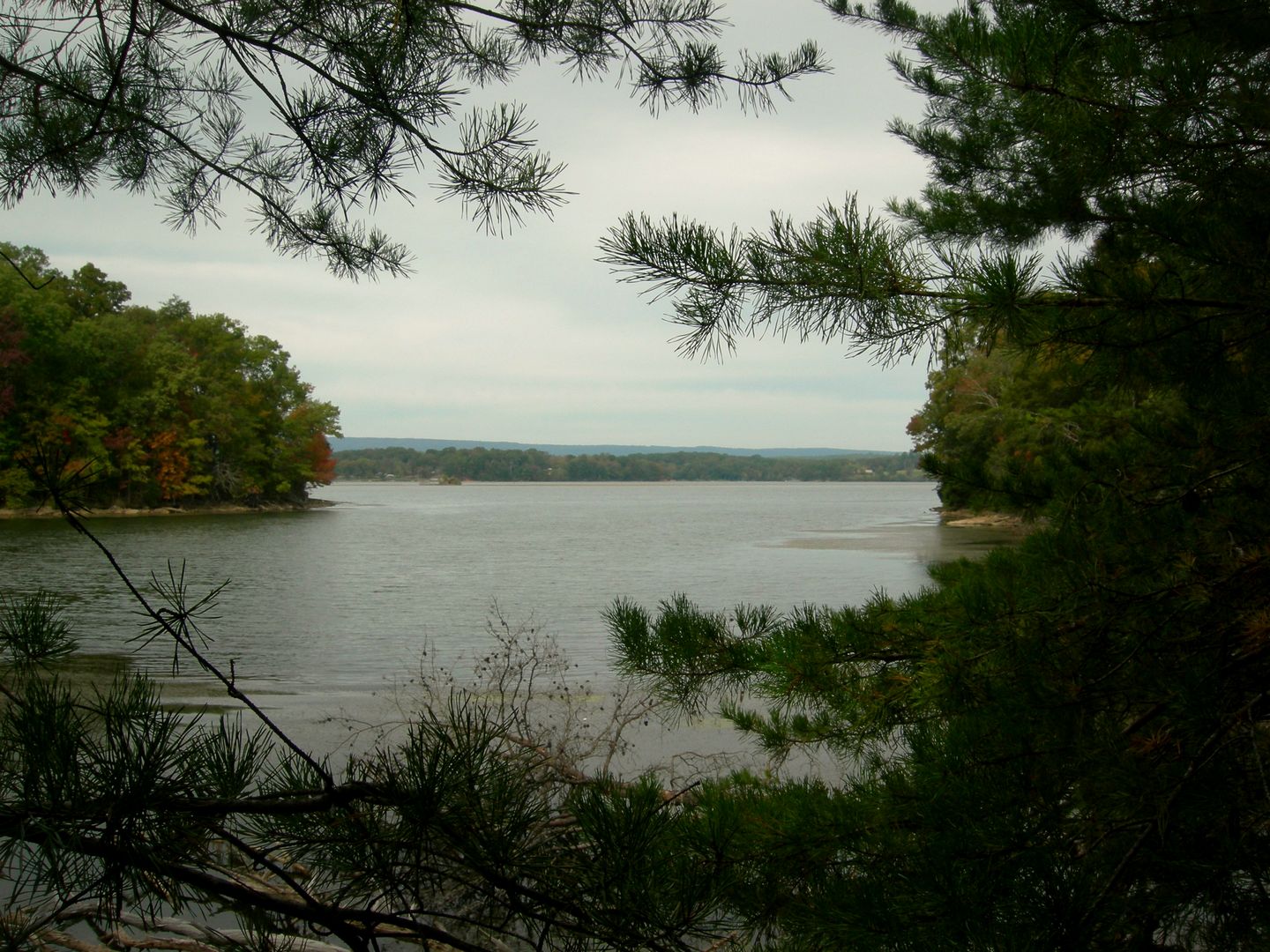 Chickamauga Lake framed by pines at Harrison Bay State Park in Harrison, Tennessee
