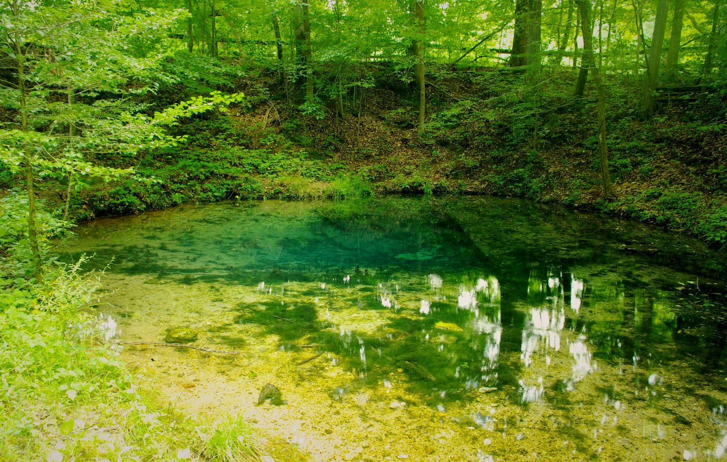 The clear Blue Hole spring in the woods at Red Clay State Park, Bradley County, south of McDonald