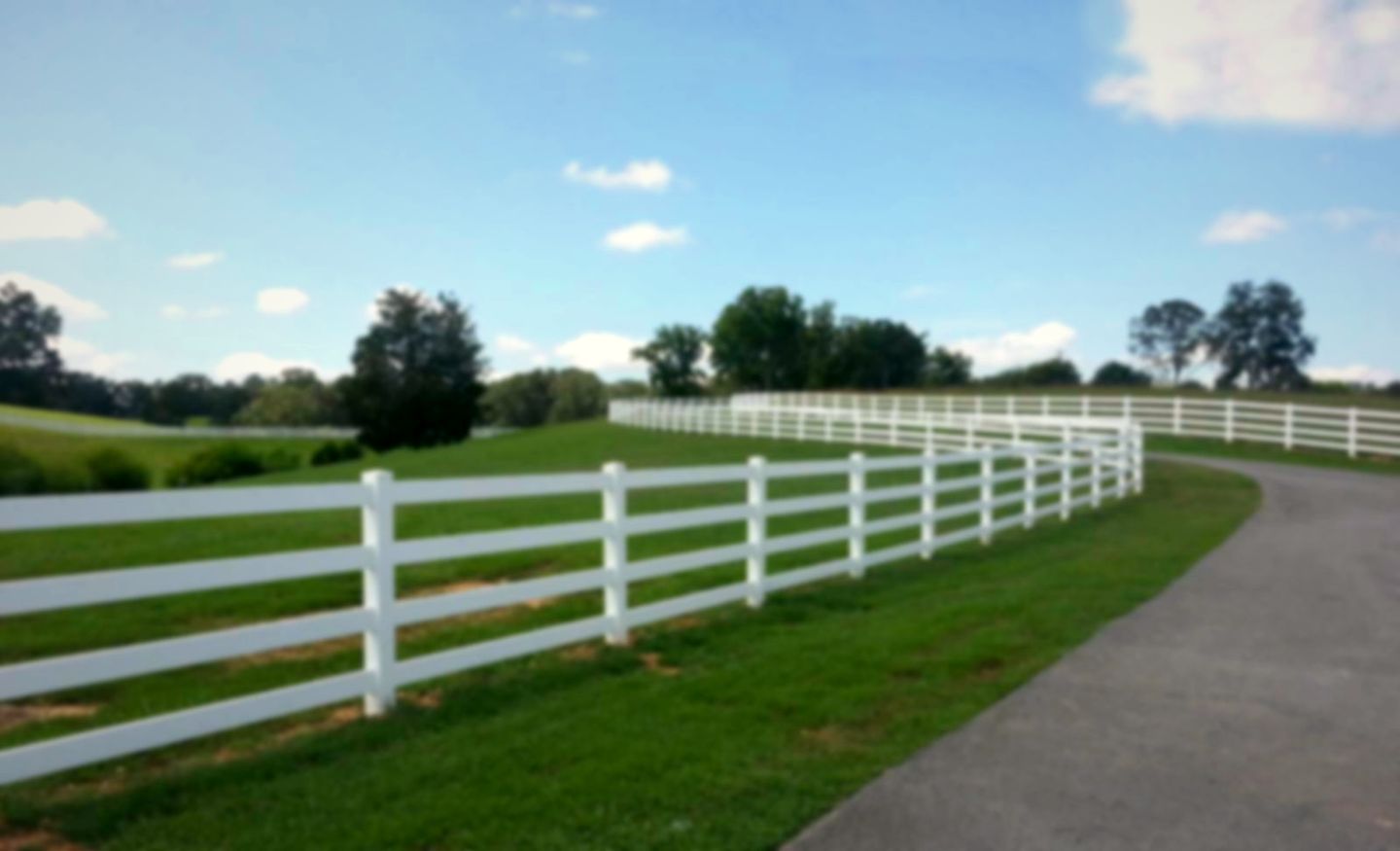 White four-rail vinyl fence lining a driveway through pasture