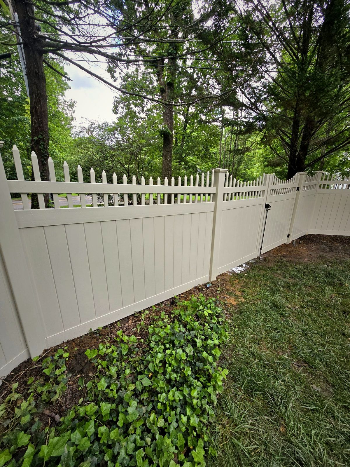 Tan vinyl privacy fence with a picket top beside a garden bed