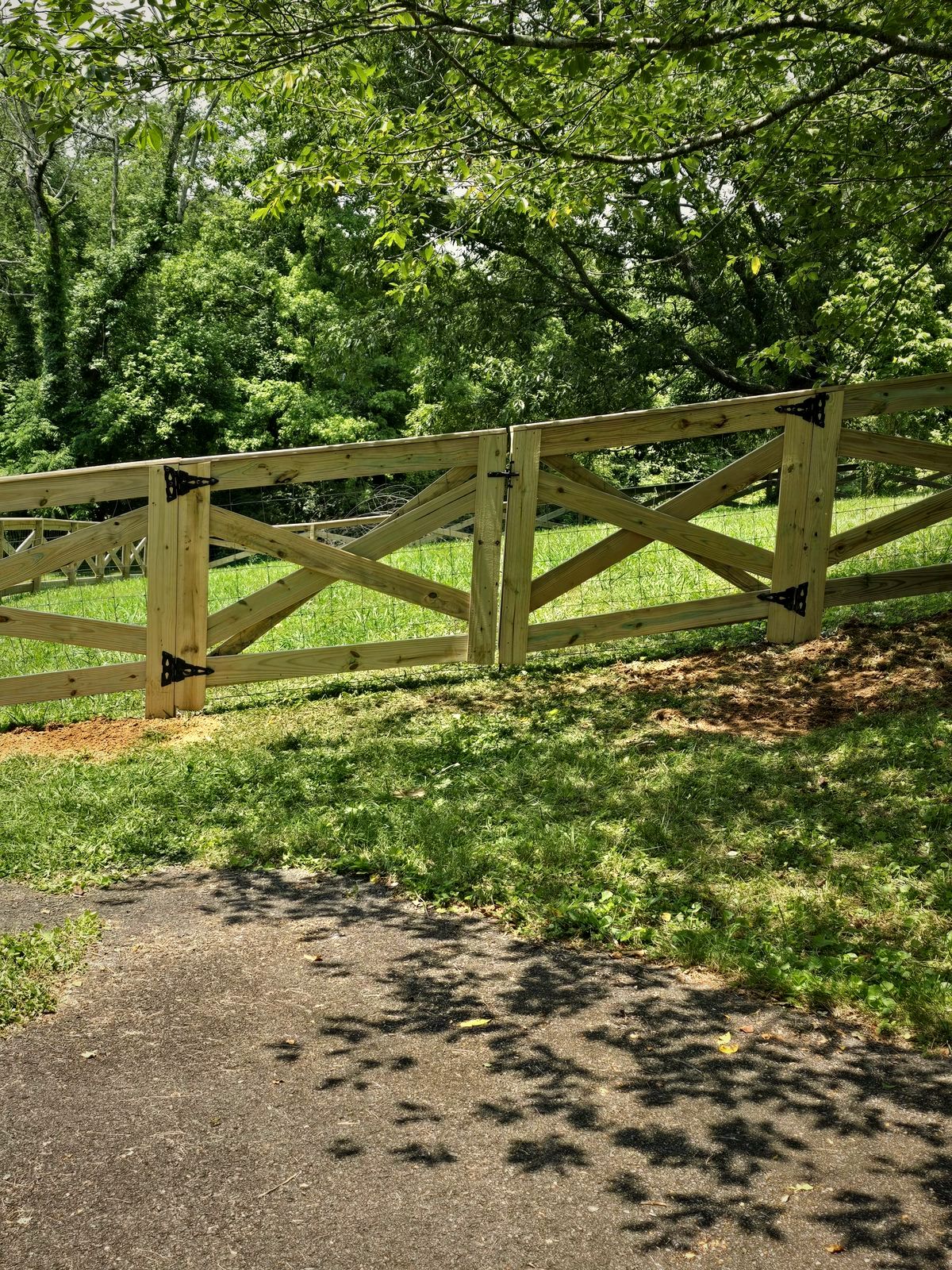 Wood crossbuck rail fence along a drive