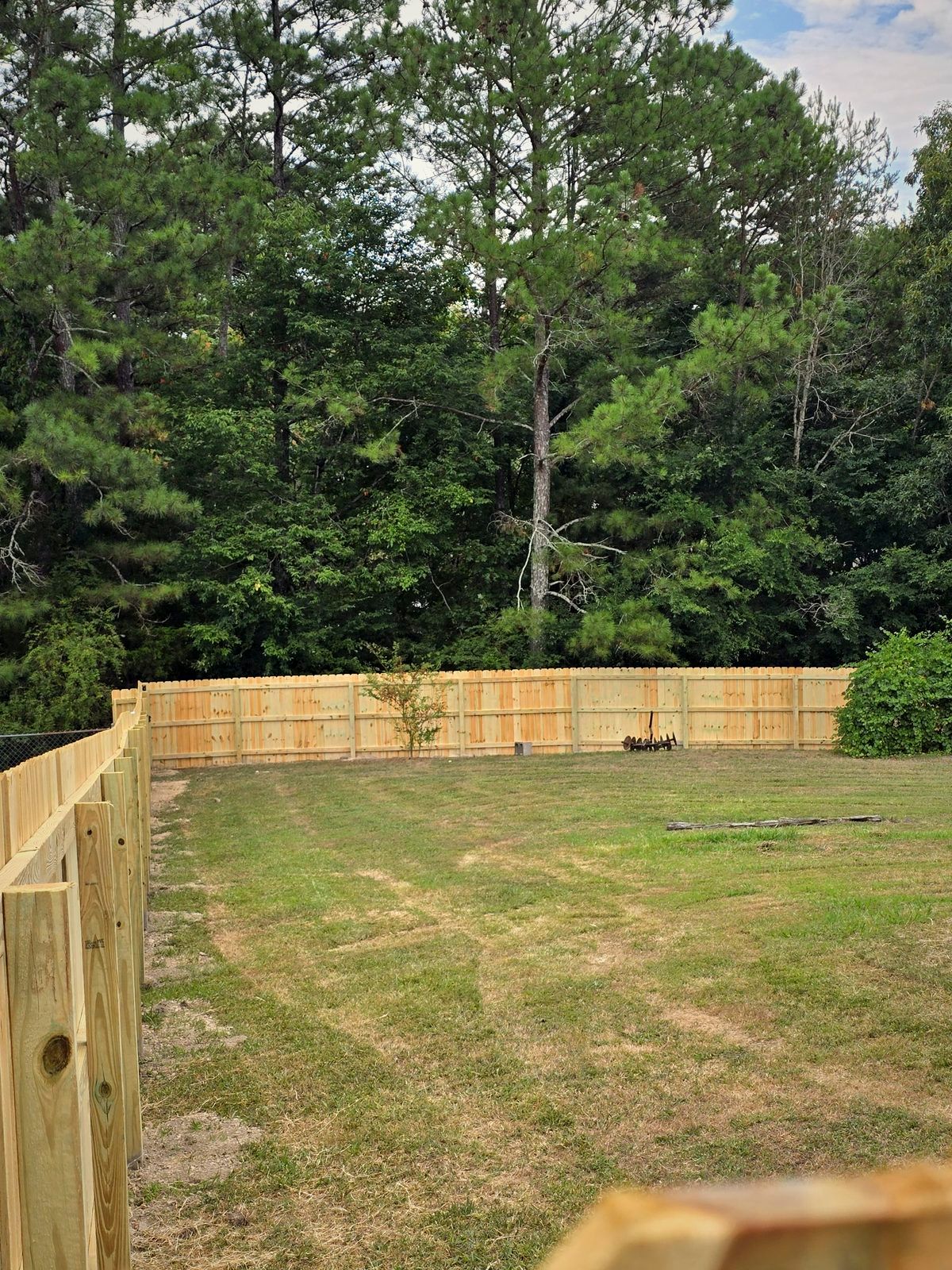 Wood privacy fence enclosing a backyard