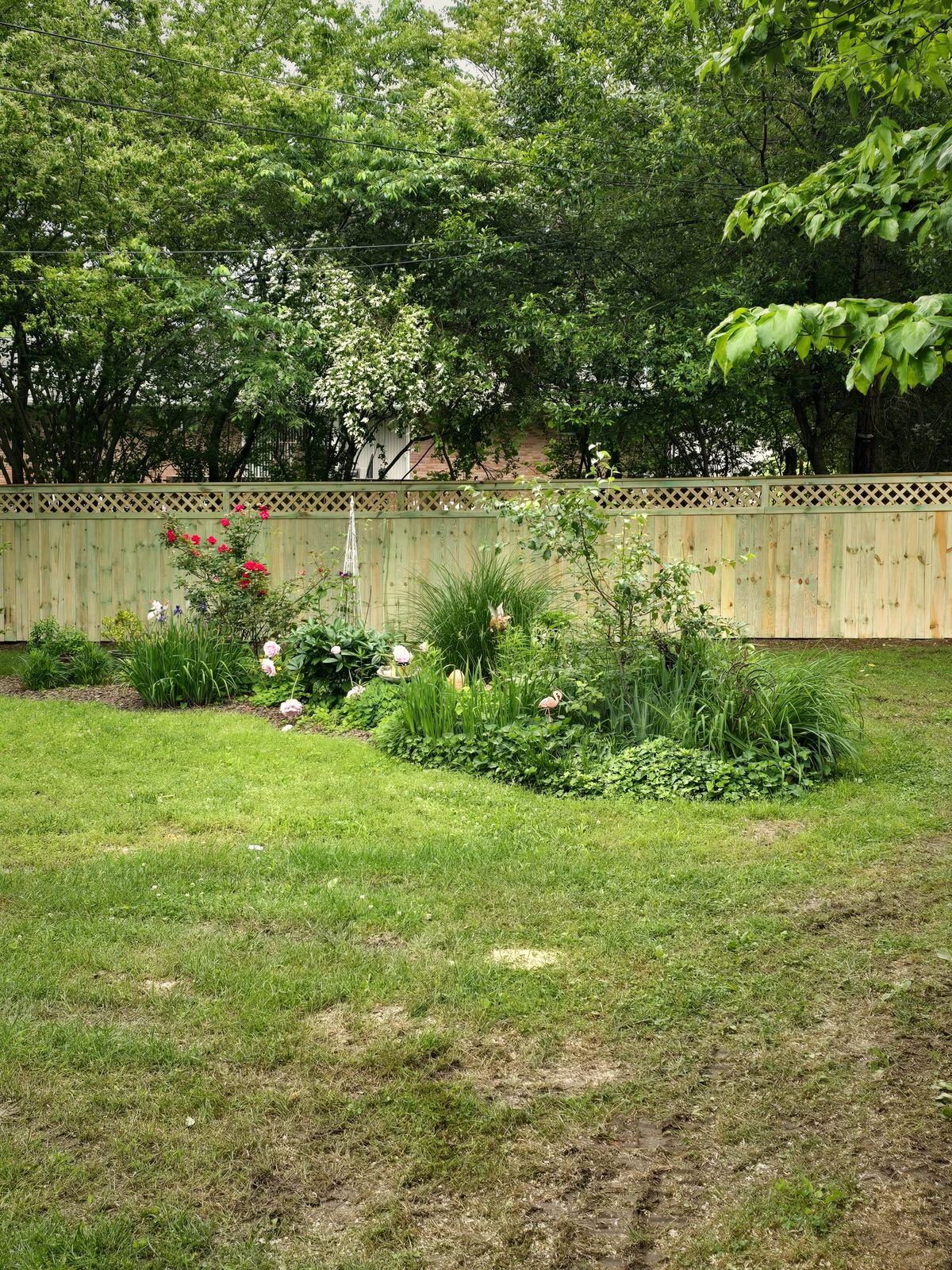Wood privacy fence with a lattice top behind a flower bed